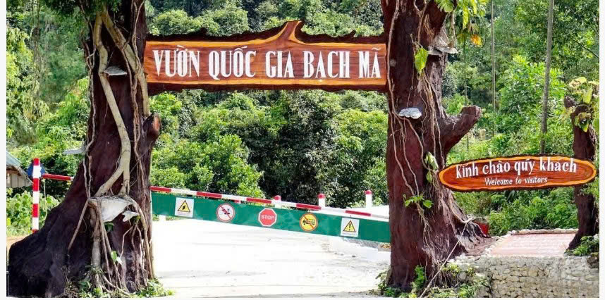 VƯỜN QUỐC GIA BẠCH MÃ